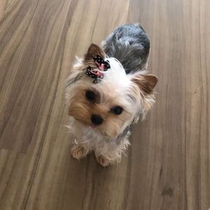 Meet your Posher, Niki